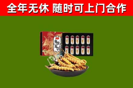 筠连回收冬虫夏草价格